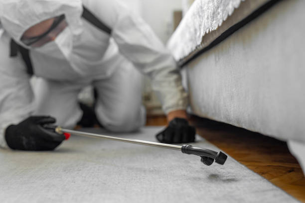 Professional Bed Bug Control technician working in Martin's Additions, MD