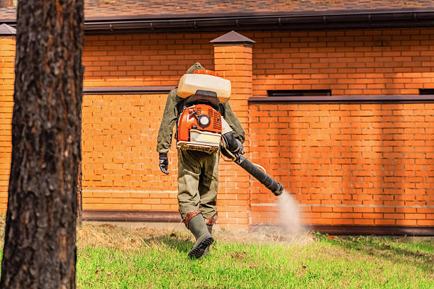 Trusted Bed Bug Control service in Martin's Additions, MD - Nex Pest Control